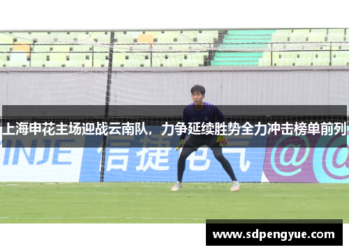 上海申花主场迎战云南队，力争延续胜势全力冲击榜单前列