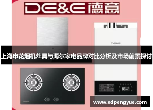 上海申花烟机灶具与海尔家电品牌对比分析及市场前景探讨