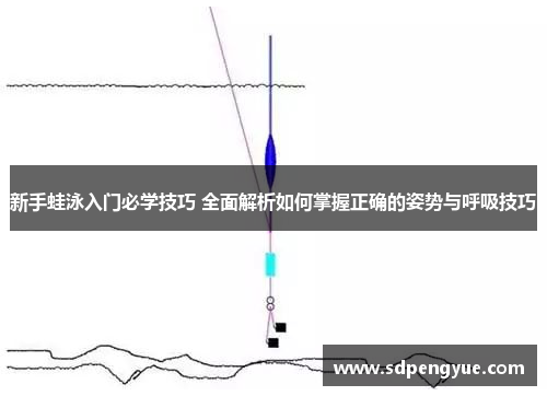 新手蛙泳入门必学技巧 全面解析如何掌握正确的姿势与呼吸技巧