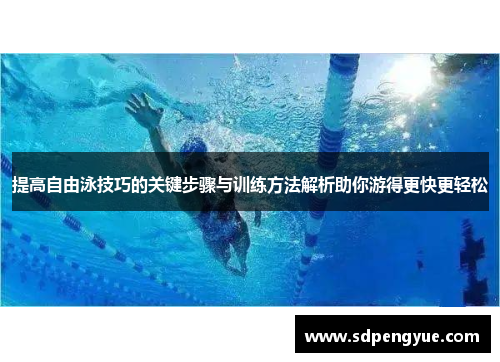 提高自由泳技巧的关键步骤与训练方法解析助你游得更快更轻松